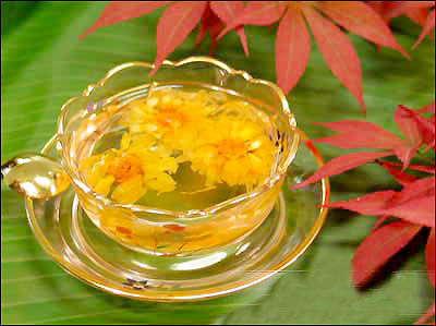 菊花茶